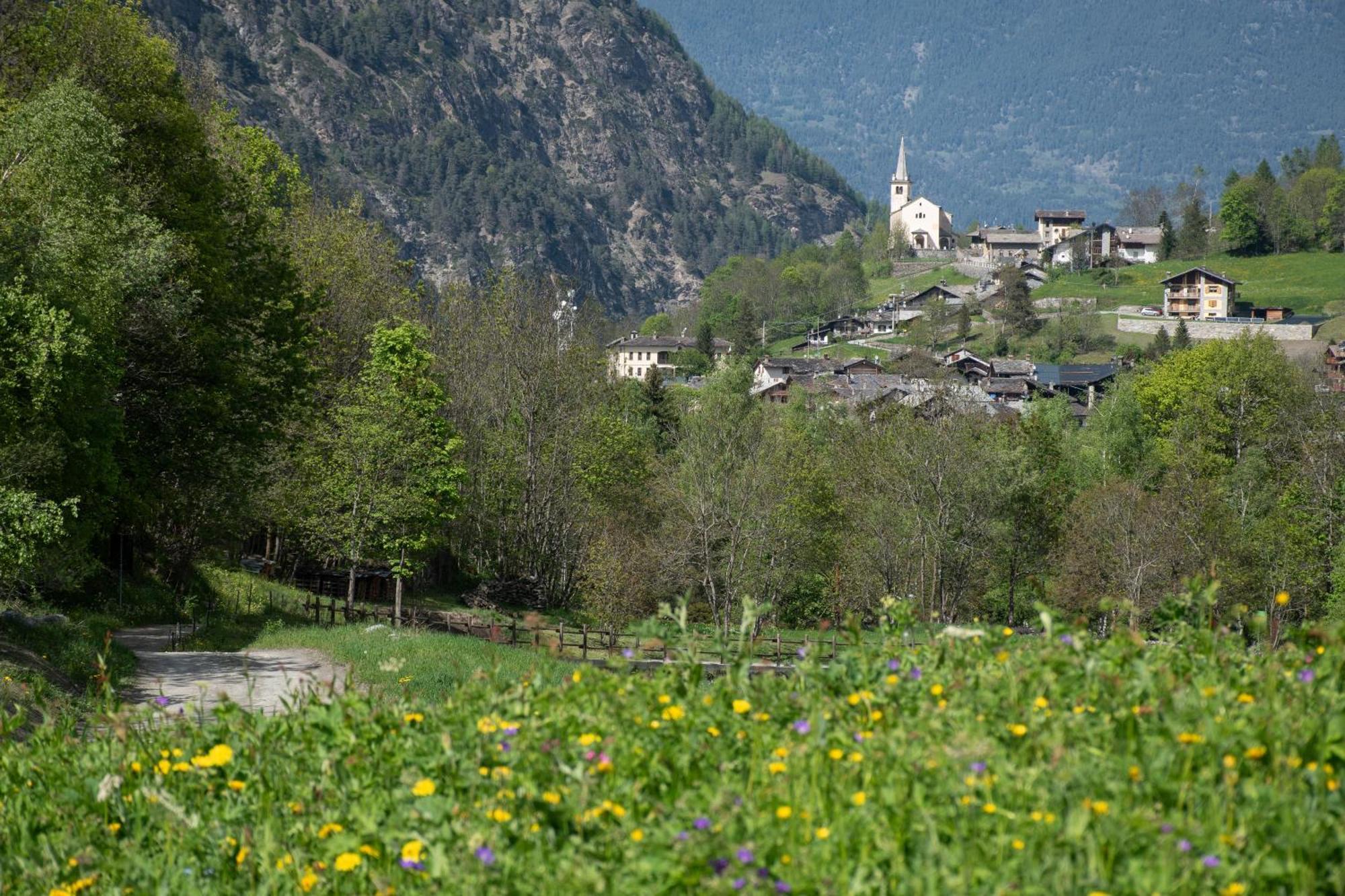 Case Gran Paradiso Rhemes Saint Georges エクステリア 写真